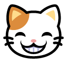 :catmoji_grin: