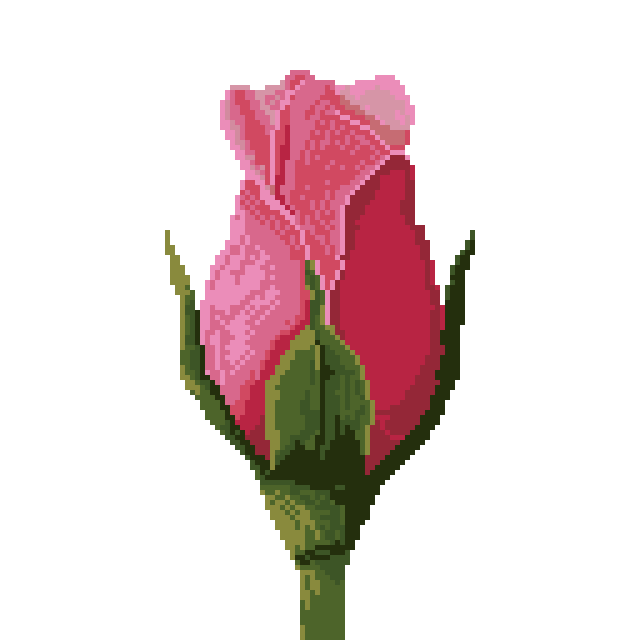 :pixel_rose: