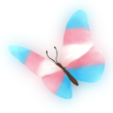 :TransButterfly: